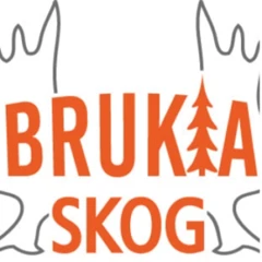 Bruka Skog Bruka Skog