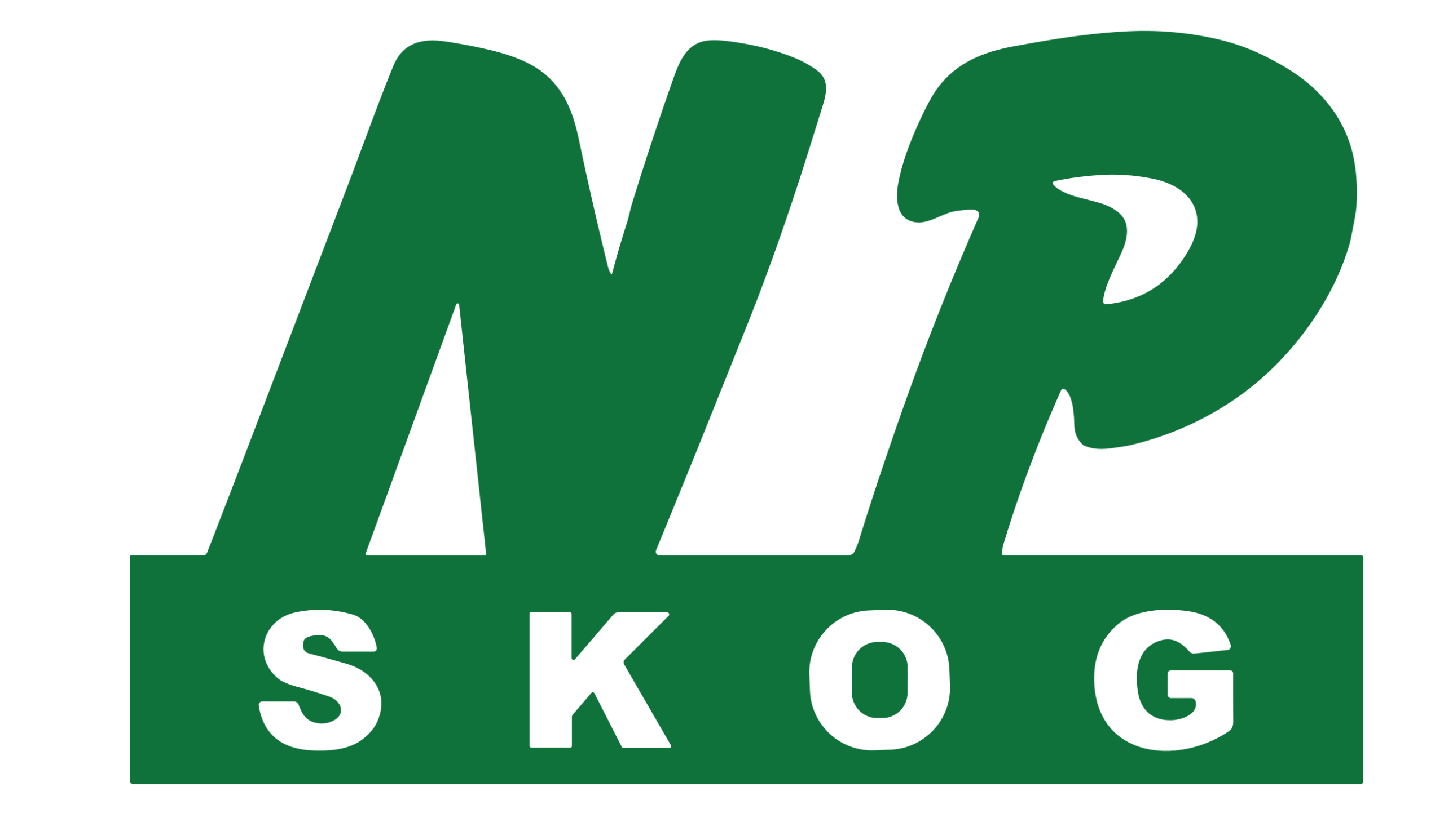 NP Skog NP Skog