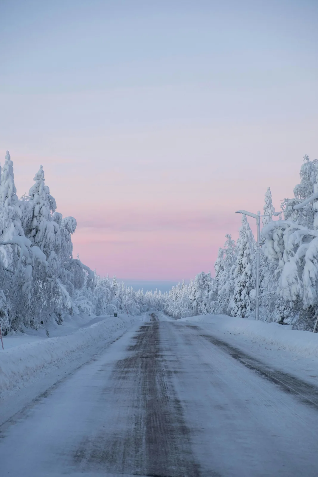 En väg genom skogen